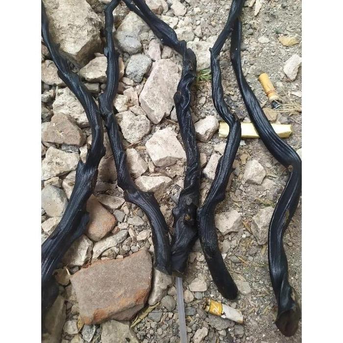 Bahan Akar Bahar Hitam Papua Size Jumbo Berserat Untuk Kerajinan Murah!!!!!!