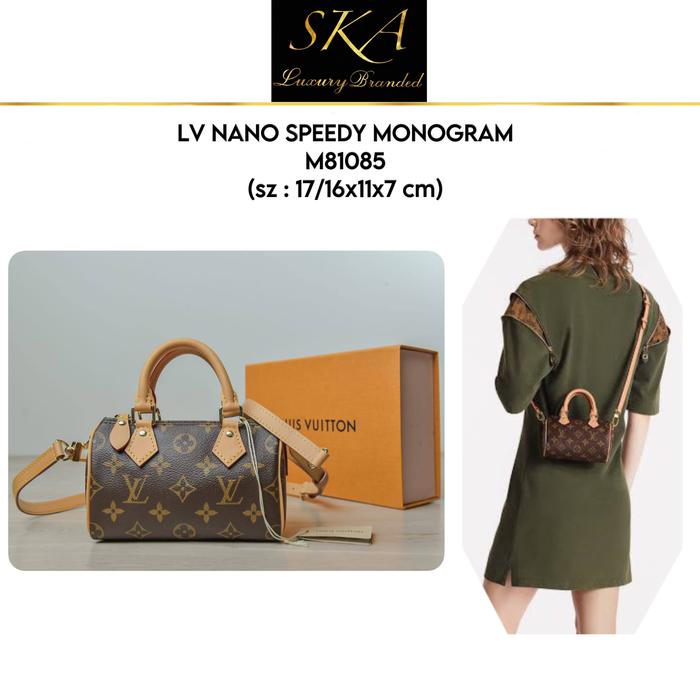 LV Nano Speedy Monogram Bag