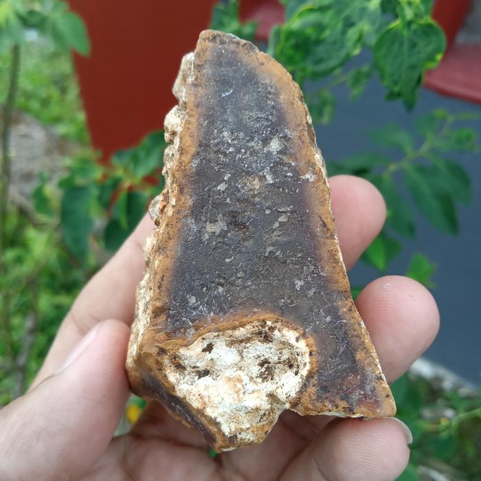 Batu Akik Raflesia ( Rough / Bahan Batu Akik Natural - bukan bacan obi )