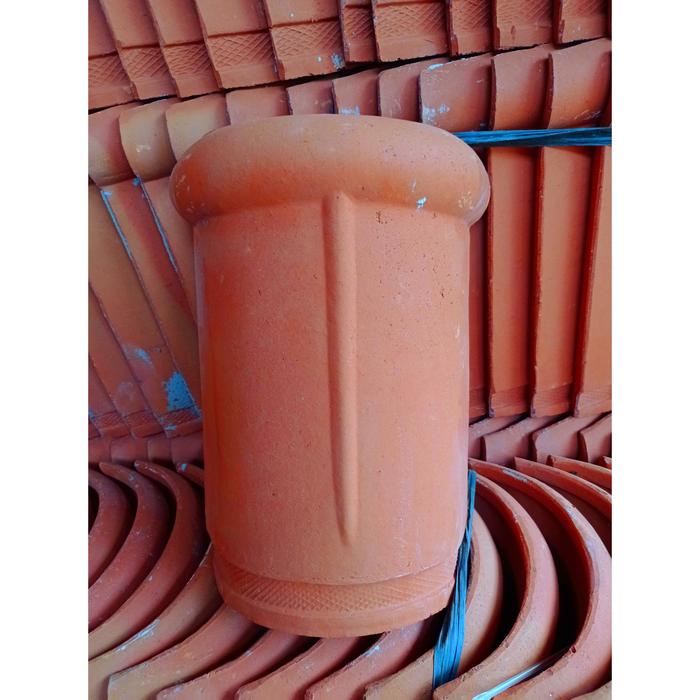 Nok Kerpus Bali |Kerpus Bulat