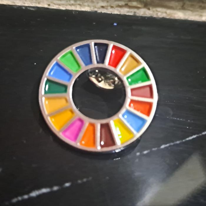 Pin Sdgs/pin enamel /pin logam/sdgs