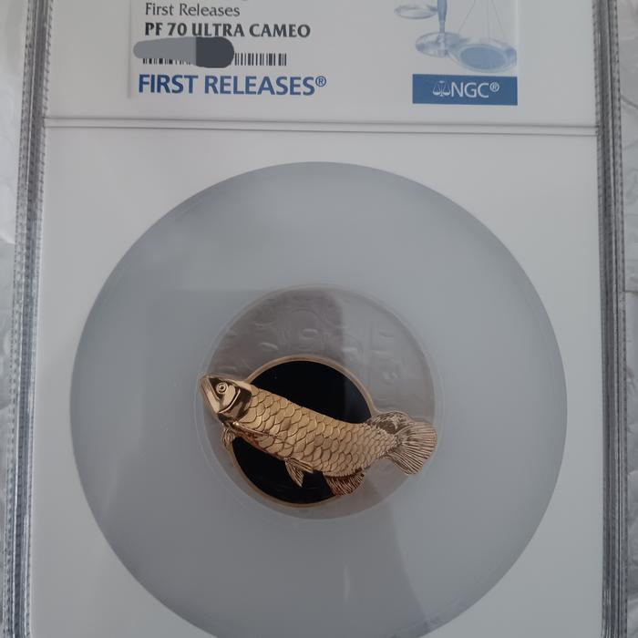 Perak Silver Coin 2019 Gift Palau S$10 Arowana Dragon Fish 2oz First Release PF 70 NGC