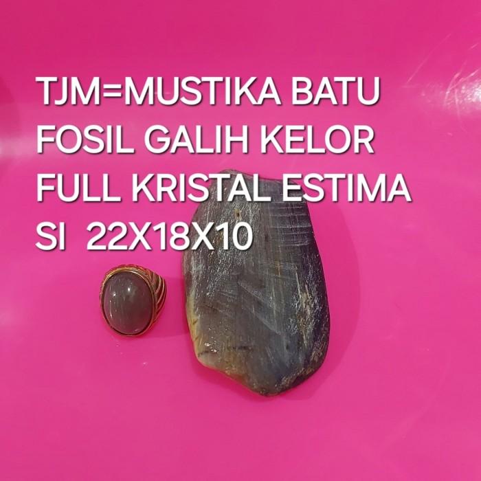 Batu Fosil Galih Kelor Super Kristal Plong Warna Coklat Abu Estimasi 22x18x10 HI Quality