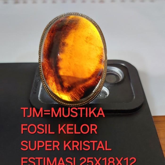 Batu Fosil Galih Kelor Full Kristal Estimasi 25x18x12  Kualitas Super Duper