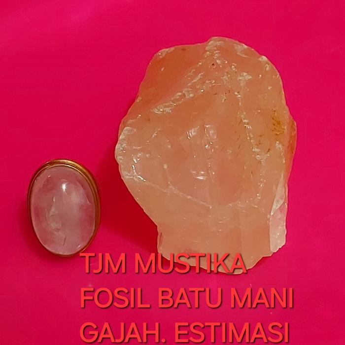 Batu Fosil MG  Full Kristal  Super Kristal Estimasi 25x18x10 Kuallitas Terbaik
