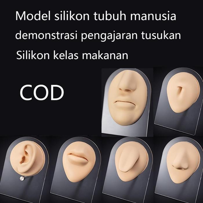 Bantu Mengajar Model Telinga Manusia Palsu Bahan Silikon Dapat Digunakan Kembali Model Telinga Silik