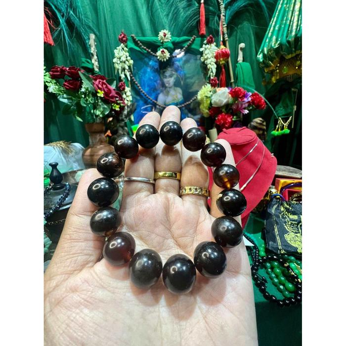 GELANG GETAH KATILAYU KEHOKIAN BERMANCING