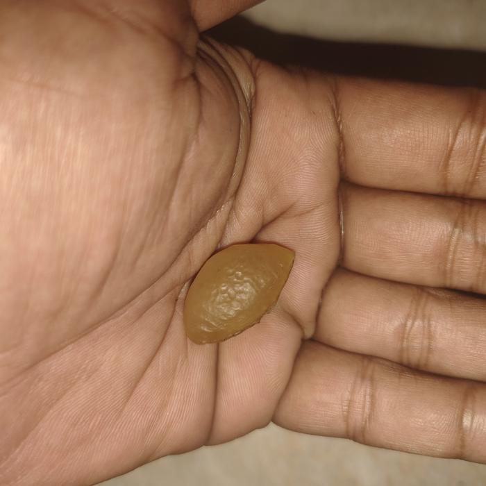 batu mustika bunga cempaka sangat langka banget warisan