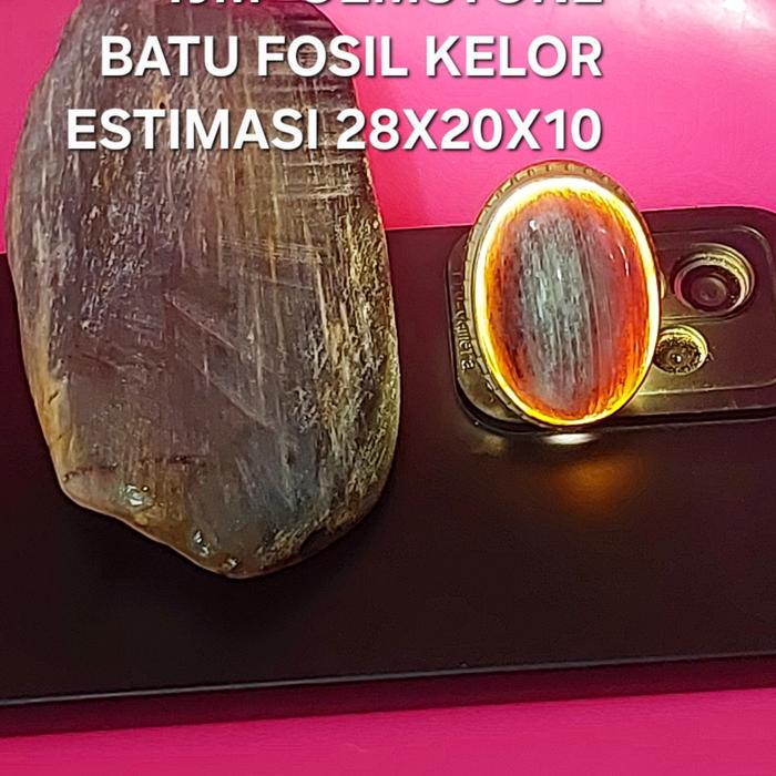 Batu Fosil Galih Kelor Super Kristal Estimasi 28x20x10. Kualitas  Hi Quality