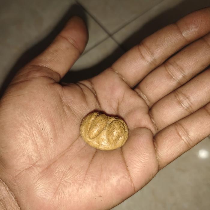 batu mustika raja bambu kuning antik banget petuk