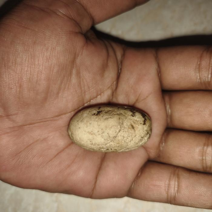 batu mustika telur rajaular sangat sangat antik langka banget