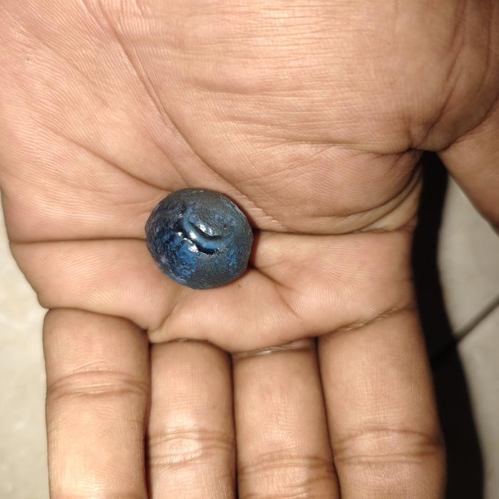 batu mustika ratukembang bunga tunjungbiru sangat langka banget