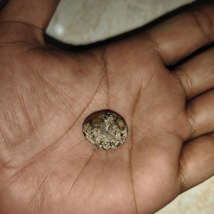 batu mustika bambu drajat sangat langka aneh banget