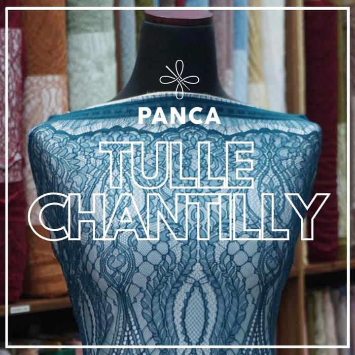 Kain Tulle Chantilly Panel