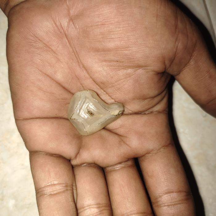 batu mustika combong kuncungputih