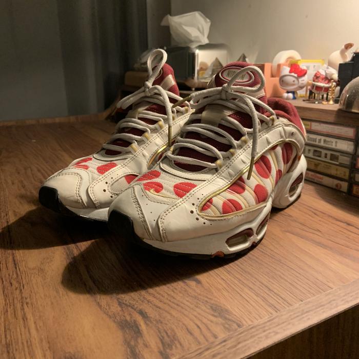 Nike Air Max Tailwind 4 Nippon Japan Running Sneakers Original Rare