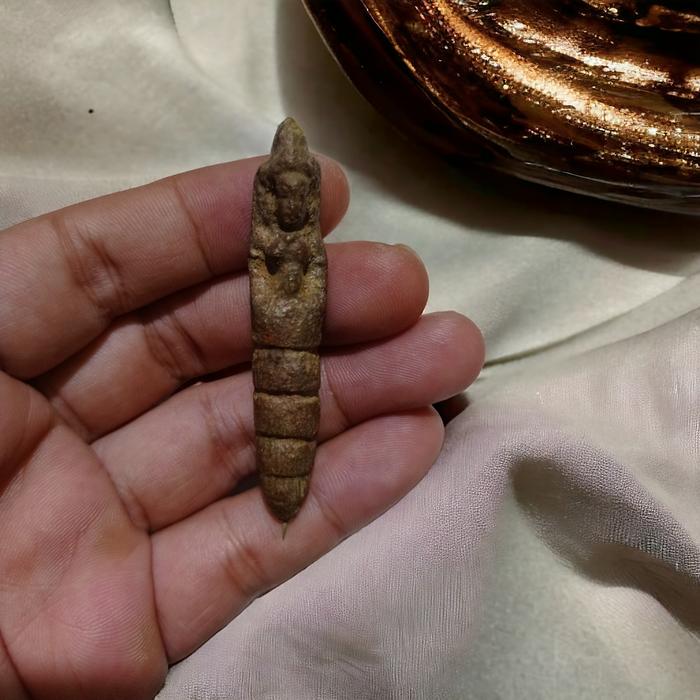 kepompong ratu Wesi kuning temuan alam
