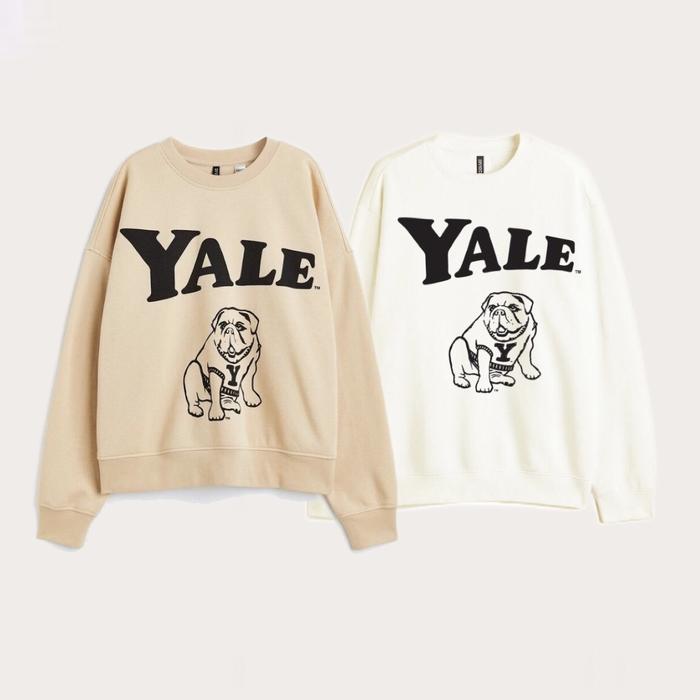 HNM FULL TAG NEW YALE CREWNECK CREAM BROWN SWEATER SWEATSHIRT