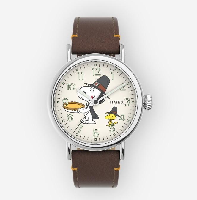 Timex Quartz Analog TW2V60100