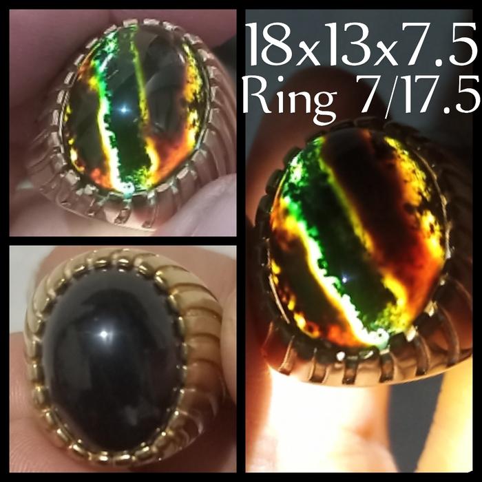 Bacan Doko Coklat Merah HQ Bacan Cokmer doko