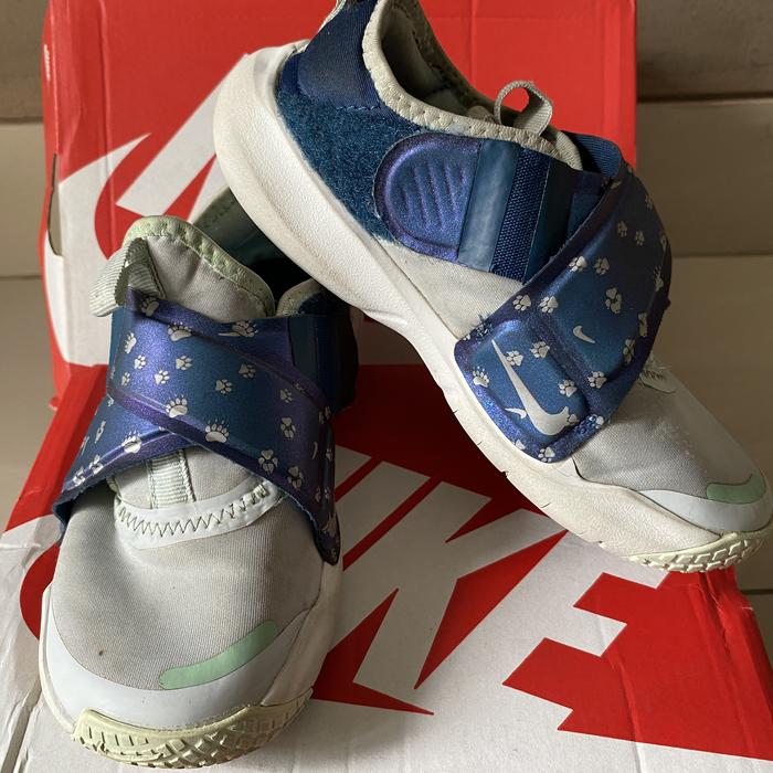 nike flex advance SE original