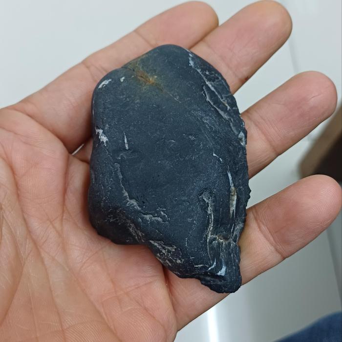 bahan fosil kayu hitam