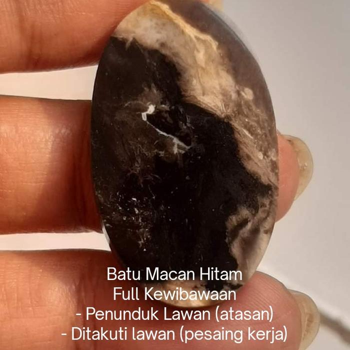 Batu Fosil Kayu Mustika Macan Full Kewibawaan