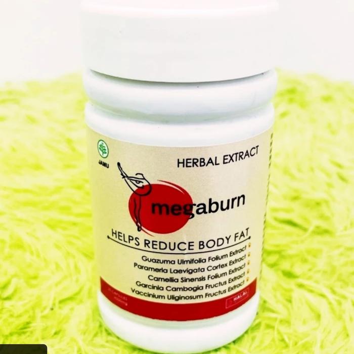 megaburn sliming support