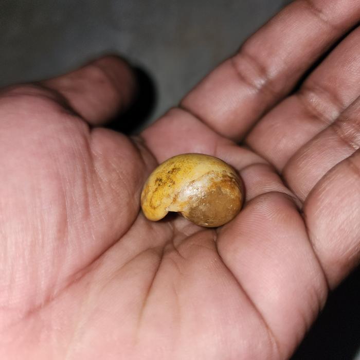 batu mustika rja keong bntek
