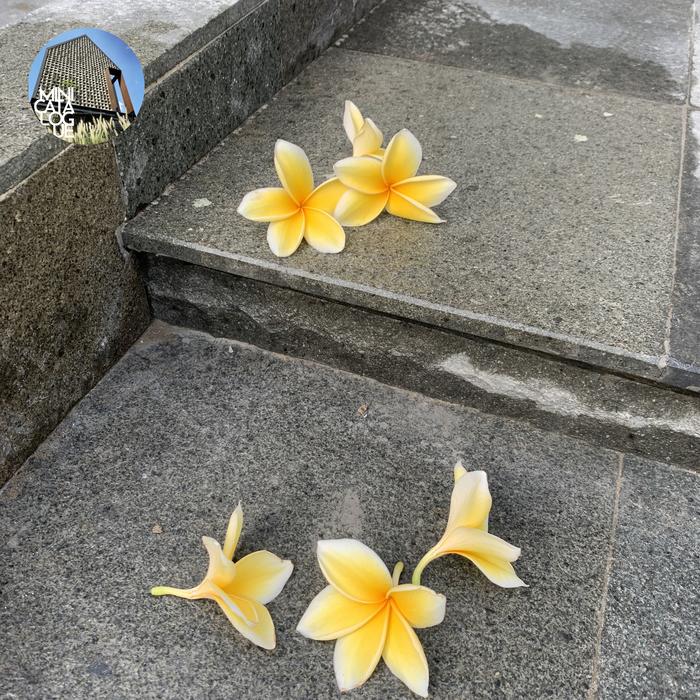 Batu Andesit untuk Step Tangga rumah ala Villa