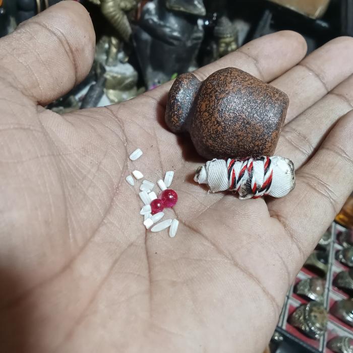 Sarana Mustika Lipan Sepasang