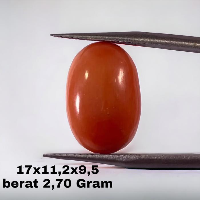 batu cincin Marjan asli Marjan tunis Mediterania