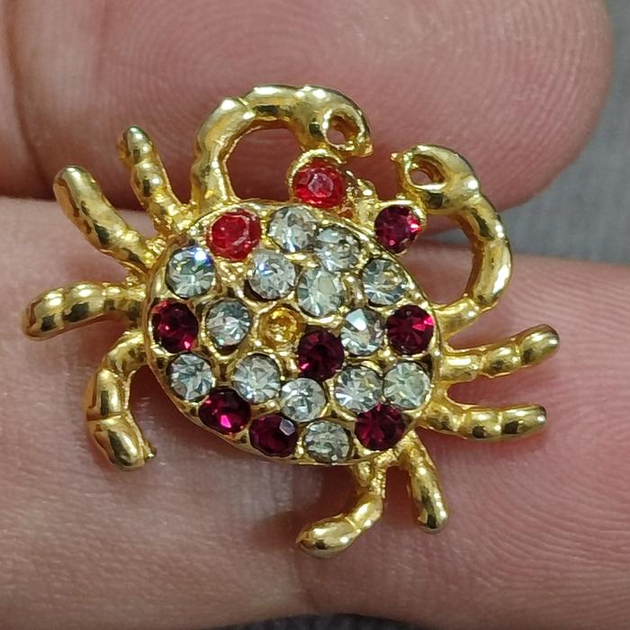 bros Pin mr. Crab golden crab