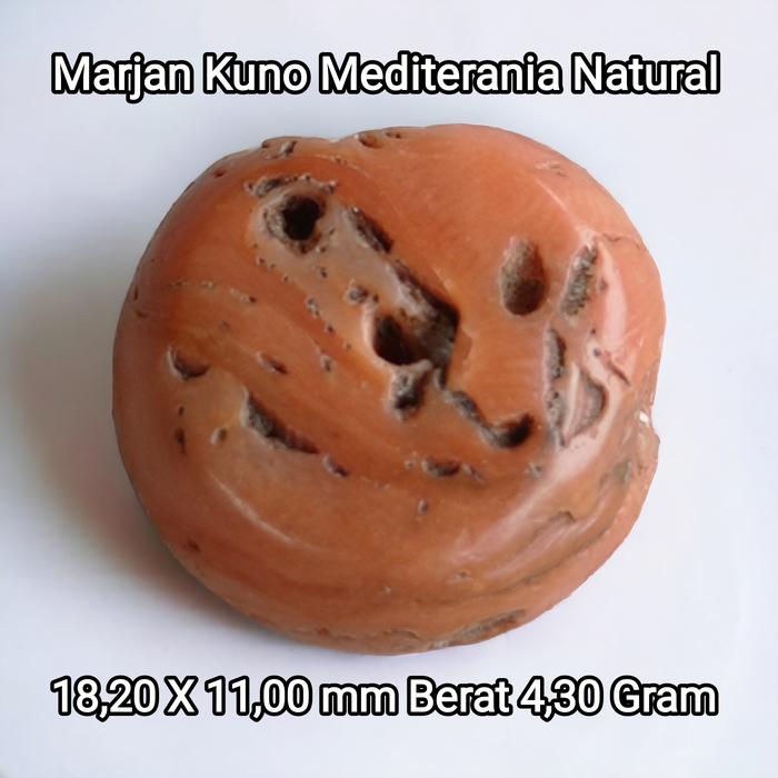 Batu Marjan kuno Marjan asli Marjan Mediterania natural