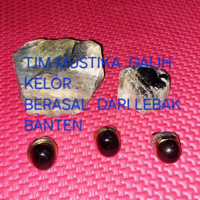 Batu Fosil Kelor Asli Dari Lebak Banten Warna  Hitam Legam