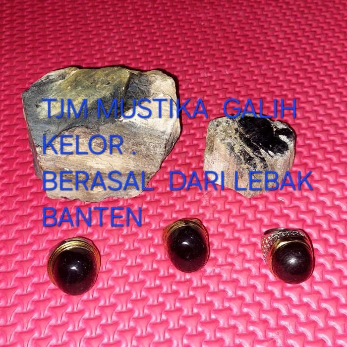 Batu Fosil Kelor Asli Dari Lebak Banten Warna  Hitam Legam Batunya  Berkualitas Tinggi