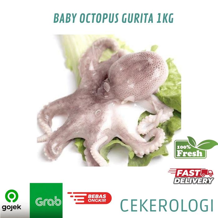 Baby Octopus 1kg / Bayi Gurita Segar / Bayi Gurita / Baby Octopus / Gurita / JABODETABEK / Seafood