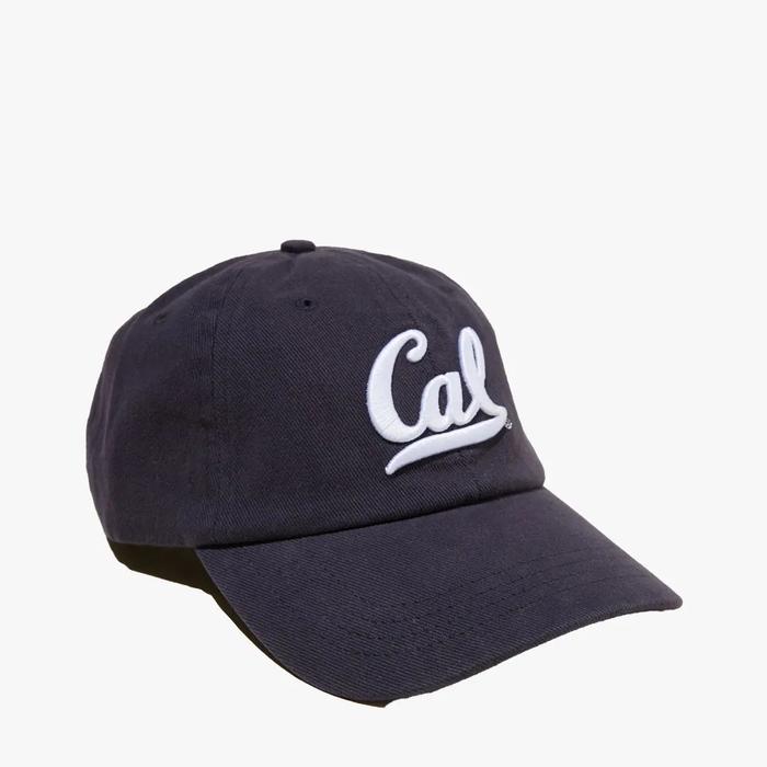 RUBI License Graphic Dad Cap - C0G4590983015