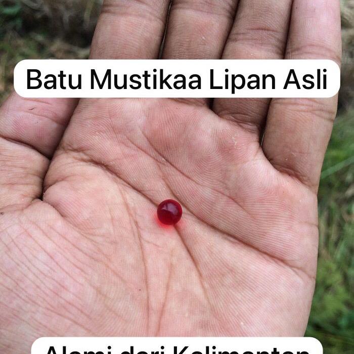 Batu Geliga Lipan Asli