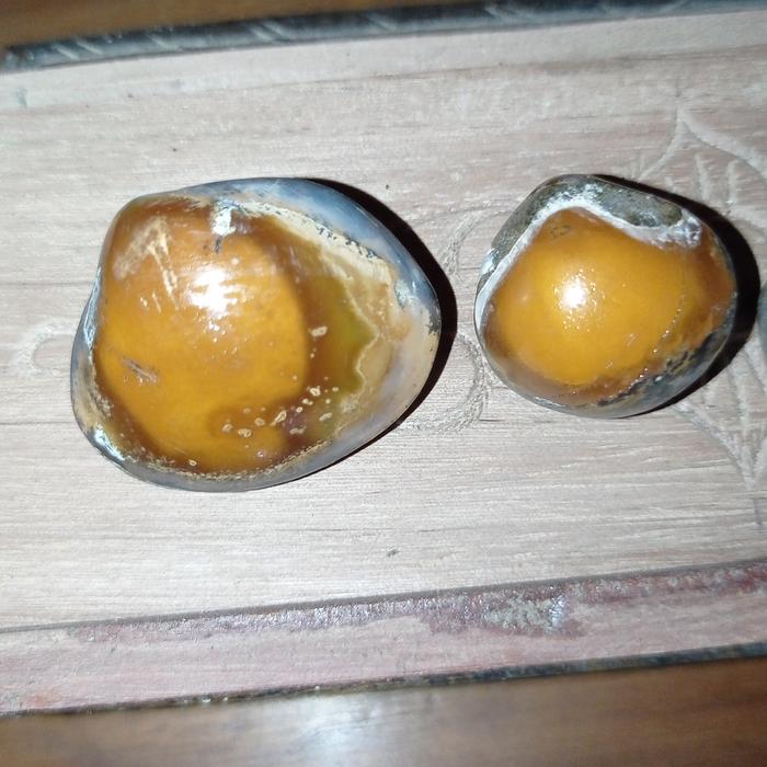 batu kijing bungkem