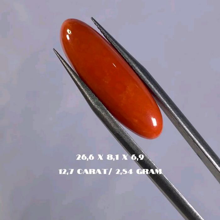 batu cincin marjan asli 100% marjan tunis natural