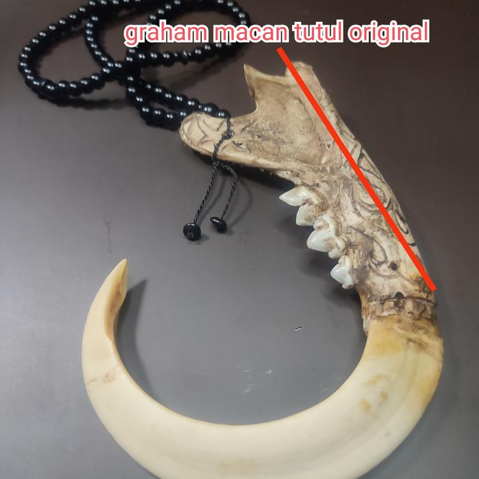 kalung liontin lawasan unik taring melingkar