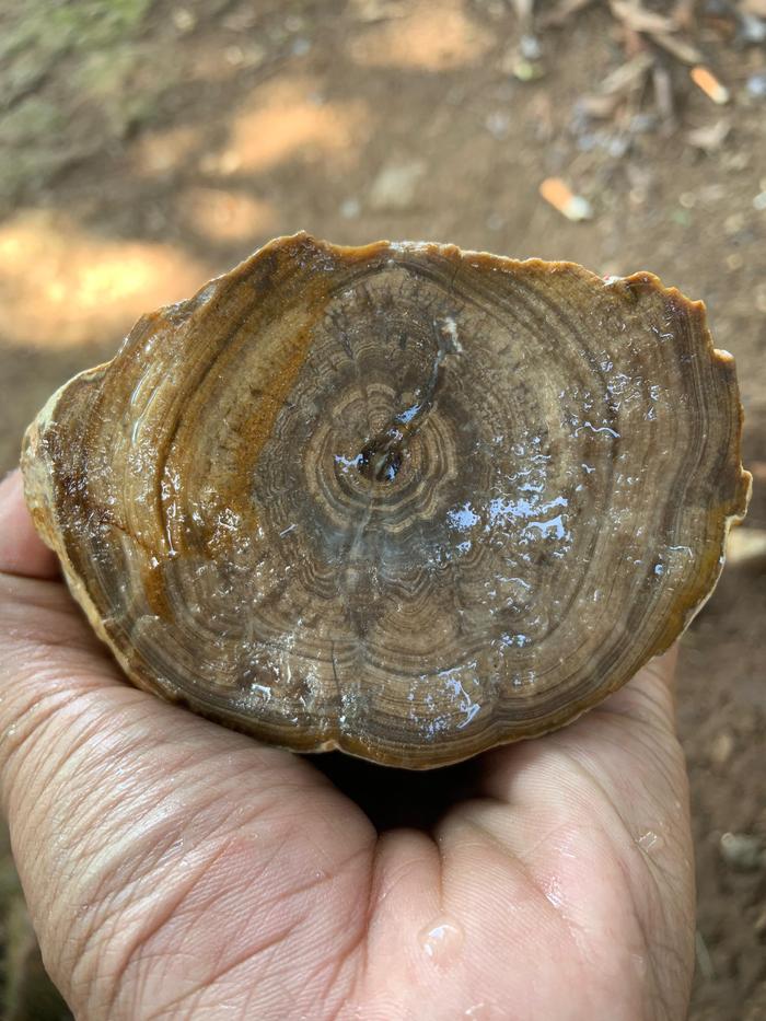 Brown Grey Rough Rock Agate Raw Stone Jesper Chalcedony Kalsedon Bahan Batu Akik Jesper Coklat Motif