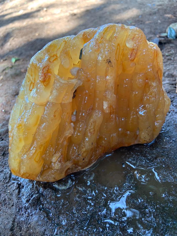 Yellow Brown Crystal Botryoidal Quartz Rough Rock Raw Agate Stone Chalcedony Kalsedon Bahan Batu Aki