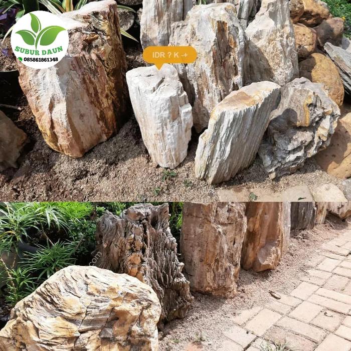 batu fosil kayu untuk taman kering berbagai ukuran 50/60/70/80/100cm