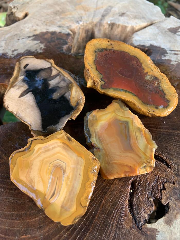 Natural Slice Jasper Multi Color Stone Rough Rock Raw Agate Bahan Batu Akik Alam Mulia Alami Asli Su
