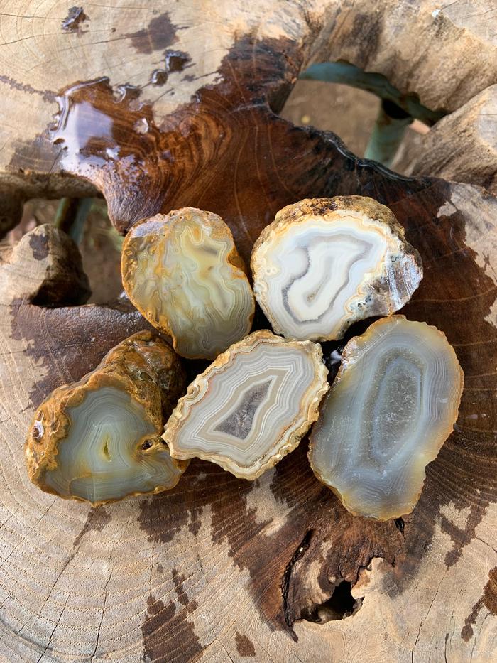 Natural Slice Chalcedony Multi Color Crazy Lace Crystal Pattern Stone Rough Rock Raw Agate Bahan Bat