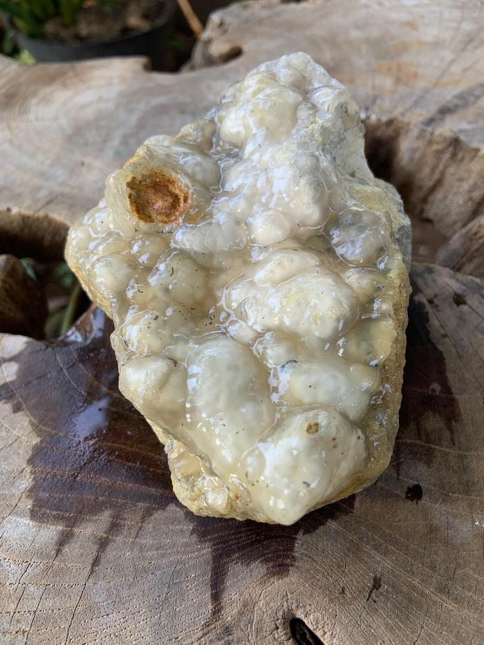 Rare Natural Botryoidal Chalcedony Grape Stone White Color Rough Rock Raw Agate Bahan Batu Akik Alam