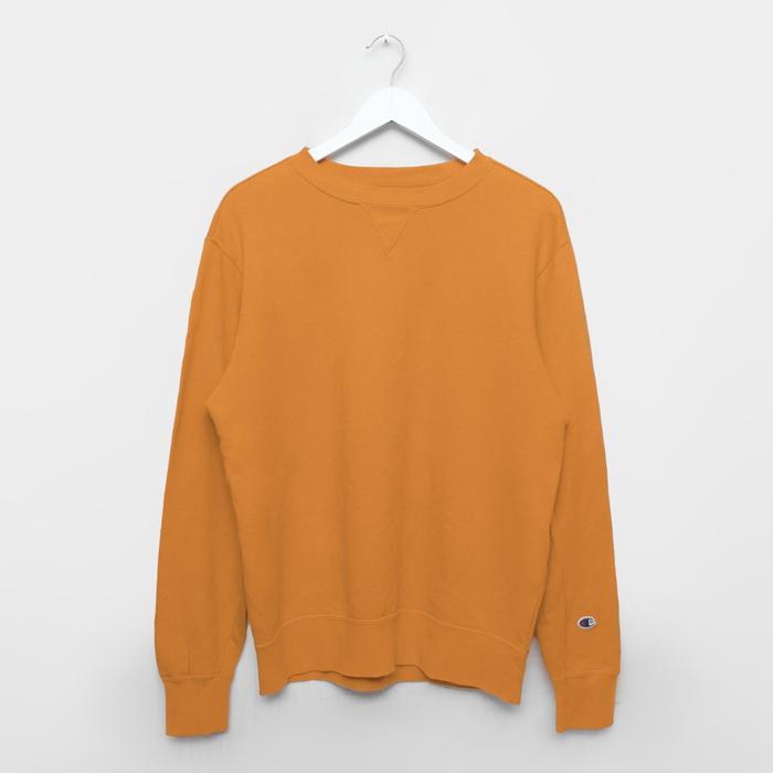 Champion Sweatshirt Orange Crewneck Sweater