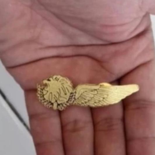 Pin Lion Air